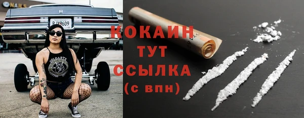 дживик Нягань