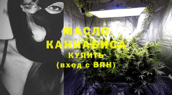 гашик Осинники