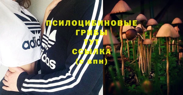 СК Остров
