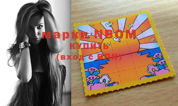 гашик Осинники