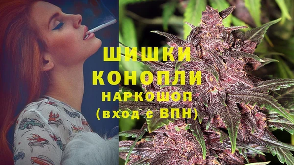 дживик Нягань