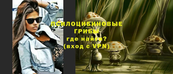 дживик Нягань