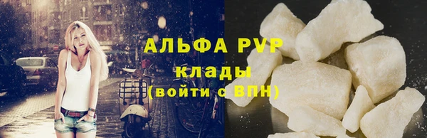 гашик Осинники