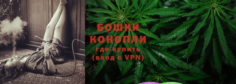 Канабис White Widow  Макушино 